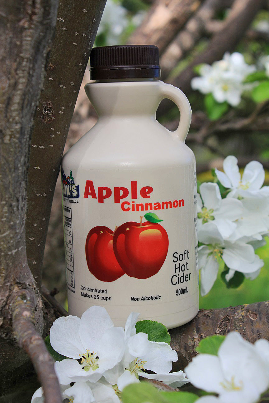 Apple Cider 500ml